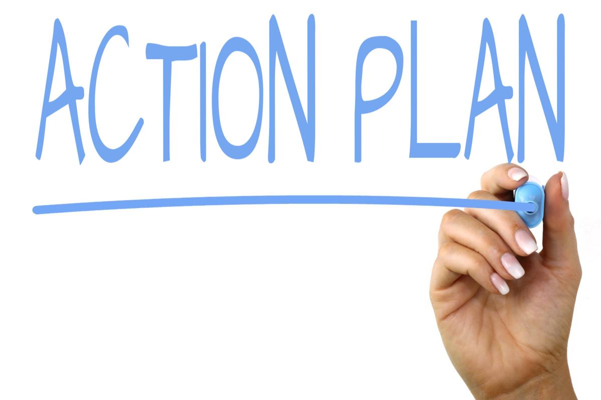 Regional Action Plans (RAP)