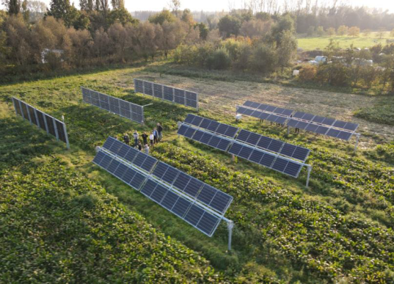 EAGER helps policymakers in promoting agrophotovoltaics to foster harmony between agriculture and open-space solar systems.