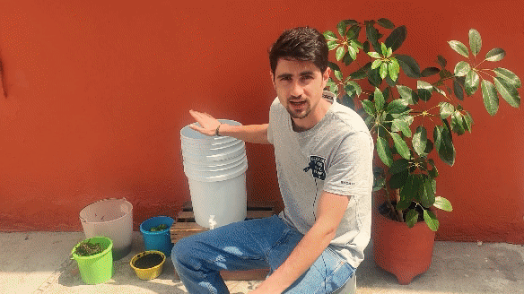 How to start a worm bin