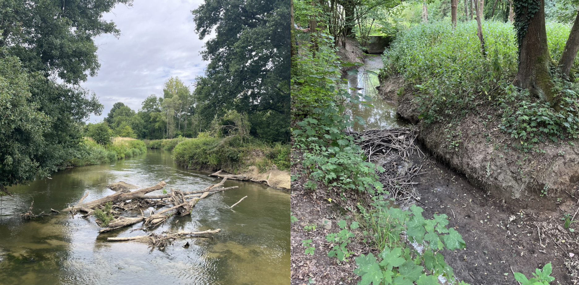 River restoration in Alba lulia