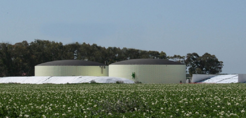 Maccarese Agricultural Company: from animal farming to energy production. |  Interreg Europe - Sharing solutions for better policy