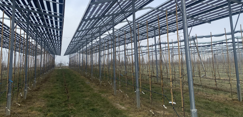 Agri-PV system Agri-PV system