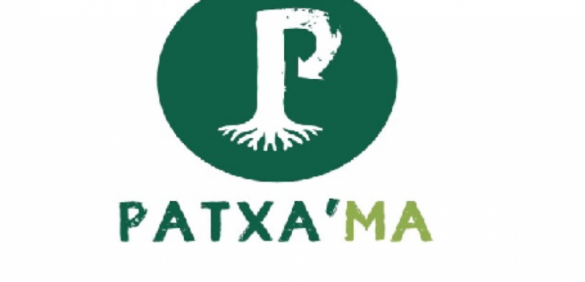 Logo of PATXA'MA Logo of PATXA'MA