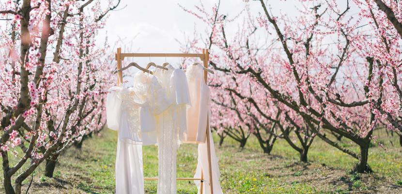 Innovative Peach Yarn (New thread of life) Eco-friendly yarn from peach waste for making wedding dresses and christening gowns : a circular economy innovation combining research and fashion with patented, sustainable textile production.
