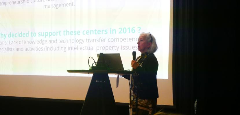 Promoting centres of excellence and innovation and technology transfer centres Promoting centres of excellence and innovation and technology transfer centres