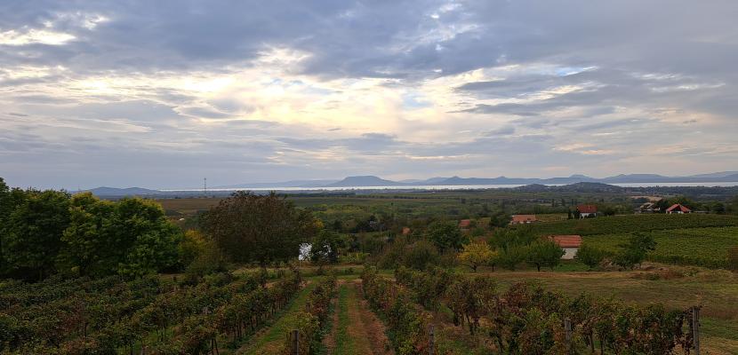 Hills of South Balaton wine region