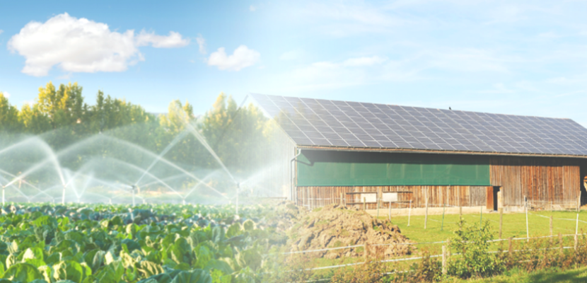 Farm modernization Agricultural crop and farm building covered with photovoltaic panels