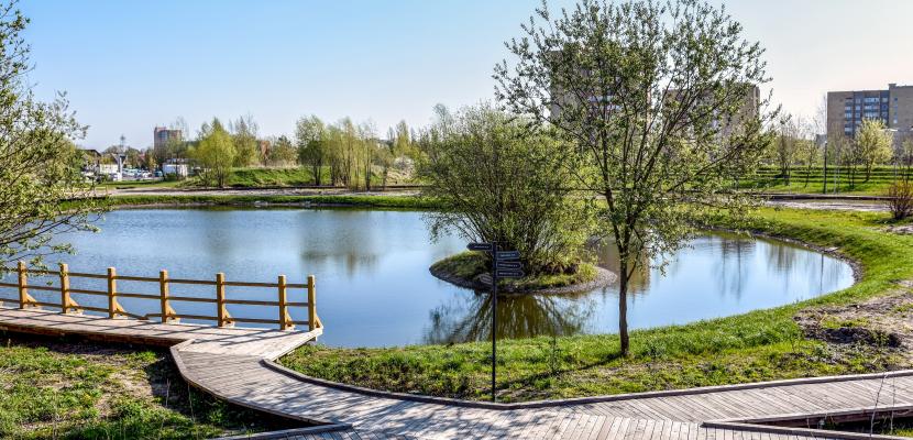 Kniaudiškiai park Park; pond; trees; paths