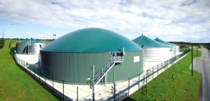 Clean Energy from Biomass Clean Energy from Biomass