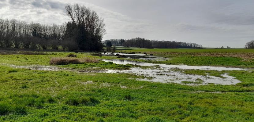 Humid Zone created in Condroz region (Wallonia) Humid zone created on farmers request