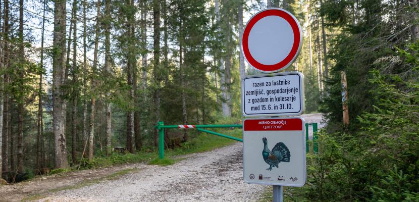 VrH Julijcev - Improving the status of species and habitat types The photo shows an example of the creation of quiet zones with ramps and signs in the Triglav National Park.