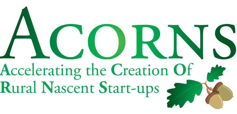 ACORNS, Accelerating the Creation of Rural Nascent Start-ups, logo with green text and image of two acorns with leaves