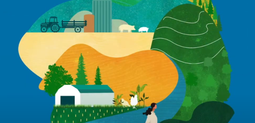 Agroforestry Polygons Agroforestry Polygons: a multifunctional land reclamation mechanism