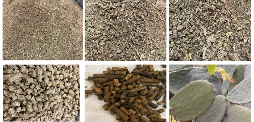 Almond's by-products Almond's by-products