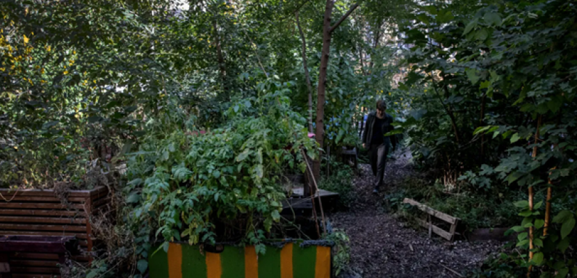 Auroa Climate Garden The image shows the urban garden with dense greenery, including trees and various plants