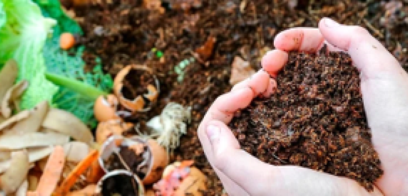 Home Compost Soil from a home compost