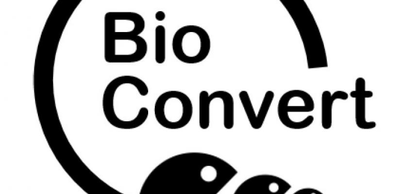 BioConvert: converting fly larvae into protein-rich animal food Logo of the BioConvert start-up