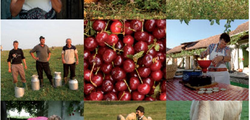 SES activities in rural area