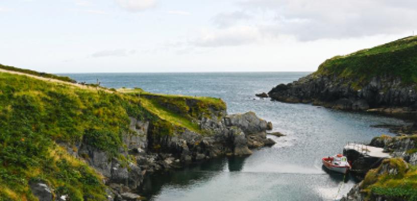Fáilte Ireland Climate Action Carbon Calculator Fáilte Ireland Climate Action Carbon Calculator