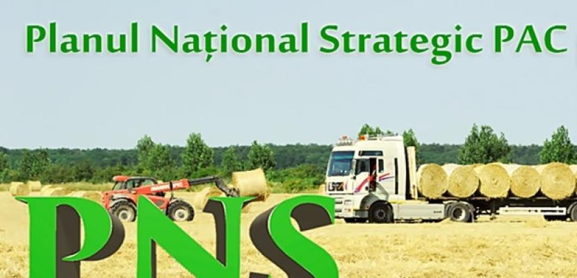 Investments in strengthening the holdings of young established farmers and newly established farmers Investments in strengthening the holdings of young established farmers and newly established farmers