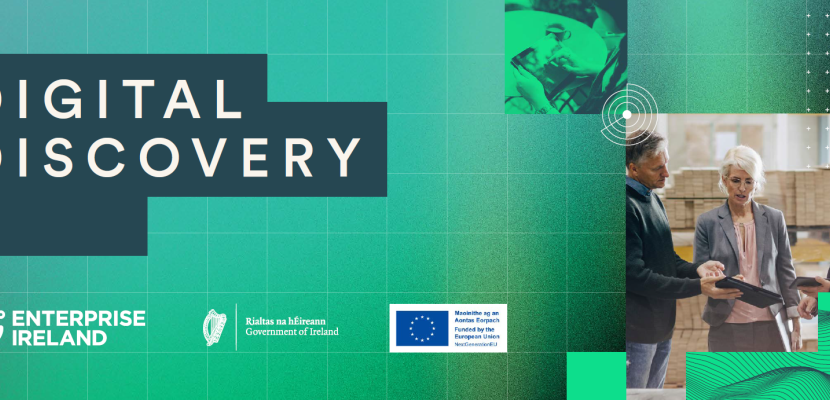 Digital Discovery Programme Digital Discovery Programme Enterprise Ireland