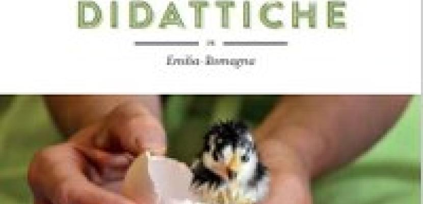 Book Cover - Fattorie Didattiche in Emilia-Romagna (Rossana Mari/Roberta Sangiorgi) A newborn chick in your hands