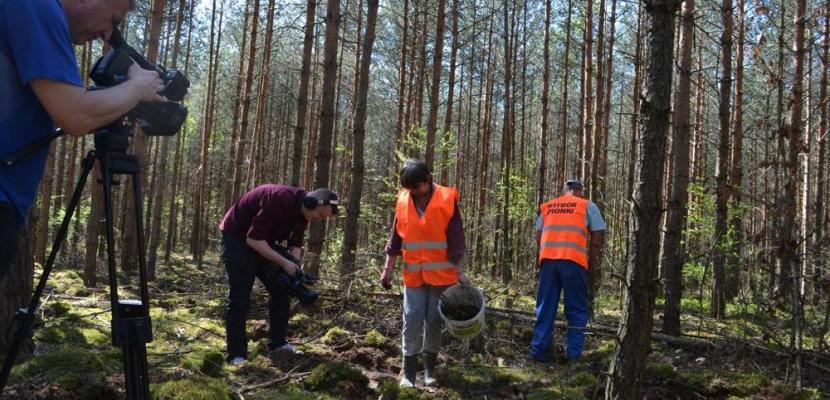 Beech underplanting in project of Forest Carbon Farms People during the work in the forest Beech underplanting in project of Forest Carbon Farms