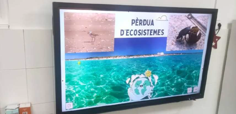 Workshop Example Example of one workshop about biodiversity