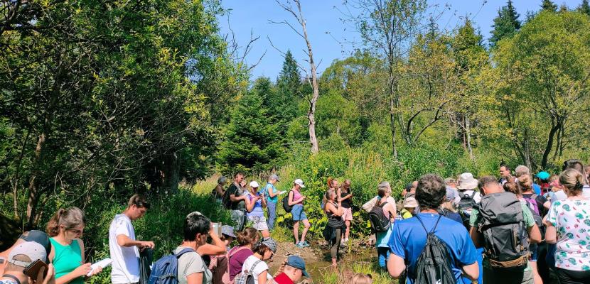 Herbal trip in the Źródliska Jasiołki, 2022 Participants of herbal trip