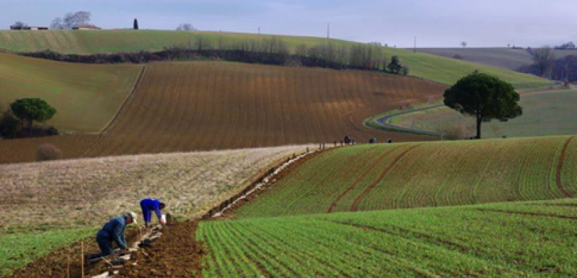 Marathon of biodiversity in Grand Bourg Agglomération Collaborative work of a hedge