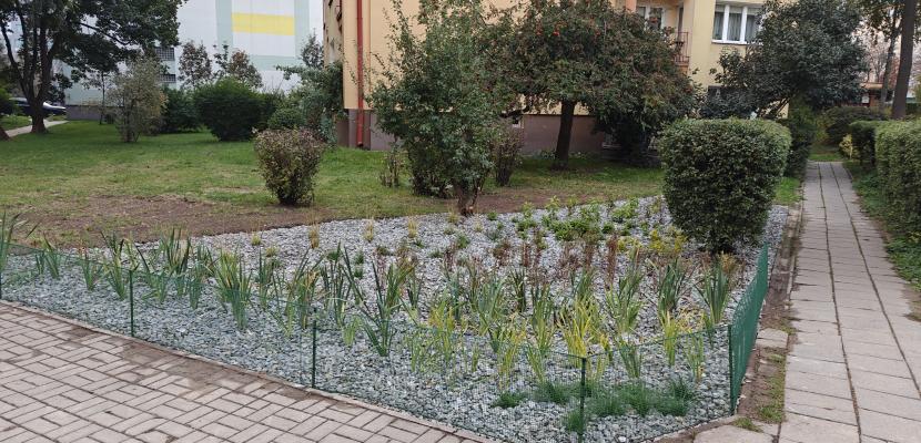 Rain gardens in Lublin City rain gardens in front of an apartment block