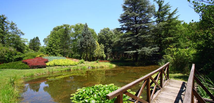 Lake Döröskei in Vas county
