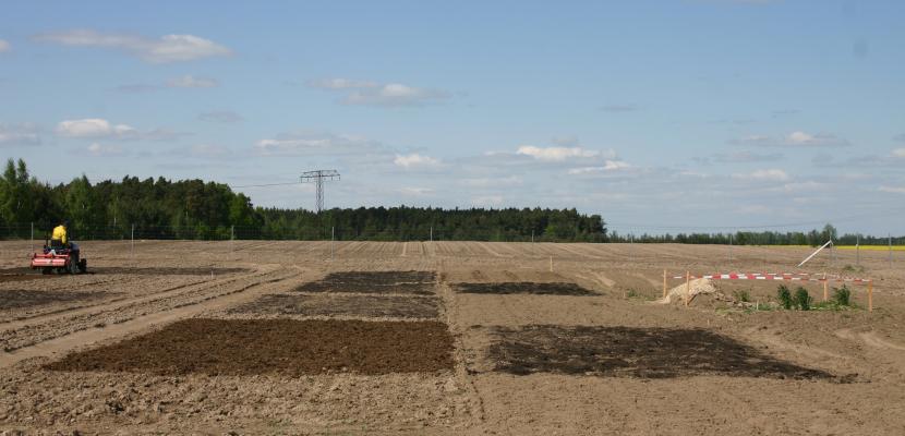 You can see several test fields where compost is being tested to see how it affects soils in post-mining landscapes. 