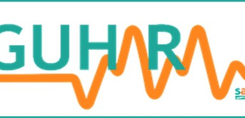 GUHARA (Aragón Global & Unique Electronic Health Record) Electronic Health Record, Primary Care, interoperable data model, streamline patient information across various healthcare providers