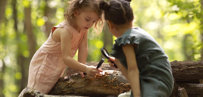Education in natural protected areas Education for health in natural protected areas