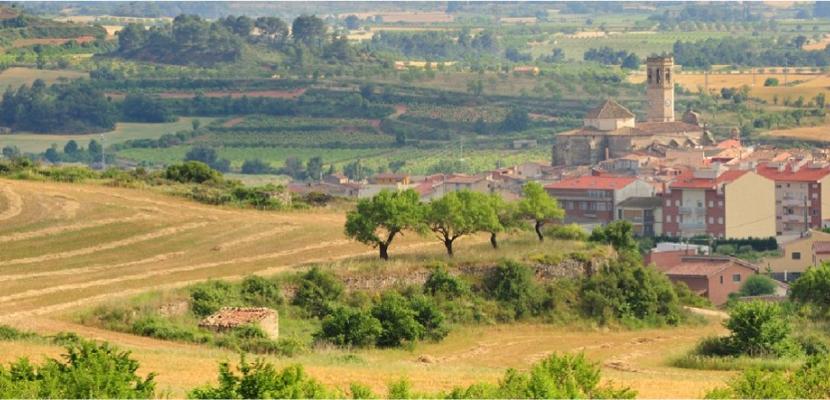 Typical landscape mosaic of Catalonia catalonian landscape