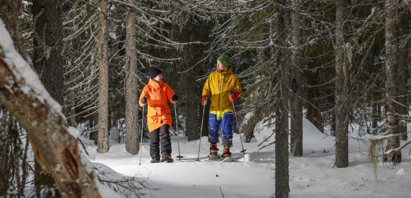 Snowshoeing in the forest A couple is snowshoeing in the forest