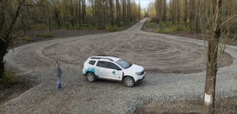 Protection forest Protection forest passage with elements of a forest road were