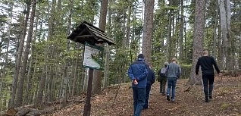 Walking rally for prison inmates Inmates from prison located at the protected areas of the Podkarpackie Region during activites