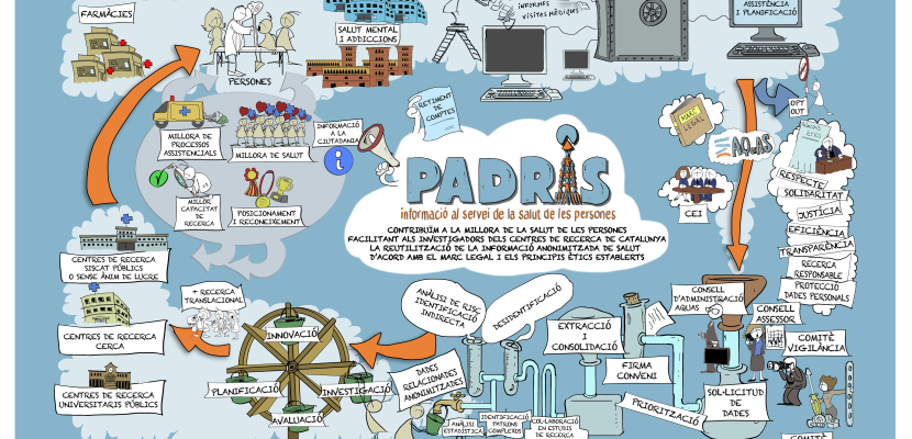 Organisation of the PADRIS programme. Organisation of the PADRIS programme (in Catalan).