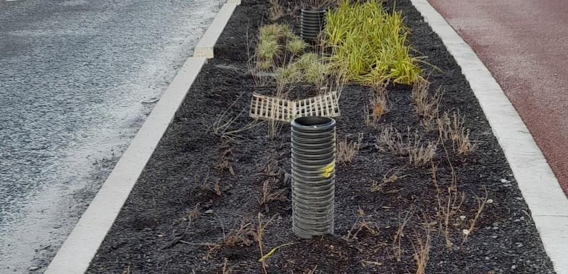 Example of nature based sustainable urban drainage A swale for managing rainwater runoff from a road, cycle path and footpath