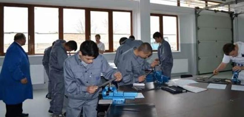 ’’Your Professional Partner’’ program for vocational and dual education in Alba County vocational and dual education in Alba County