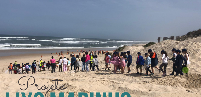 Projeto Lixo Marinho Image of the Good Practice.