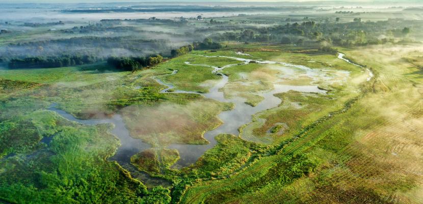 Floodplains in świętokrzyskie region Floodplains