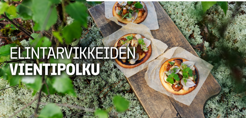 Food Dishes on a wooden tray in forest
