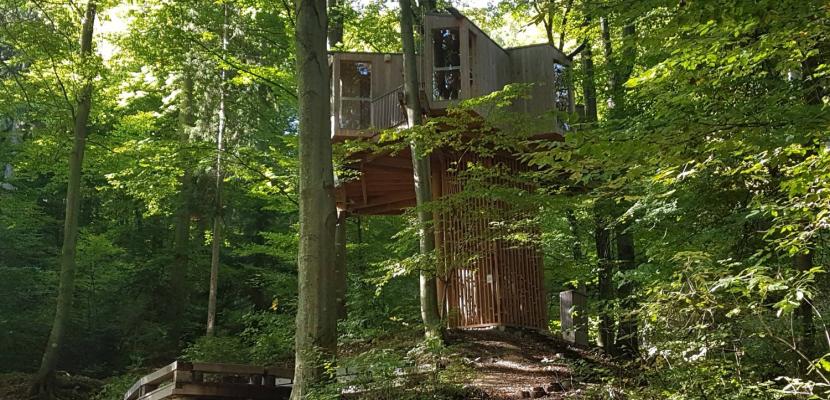 The Tree House in Urban Forest Celje