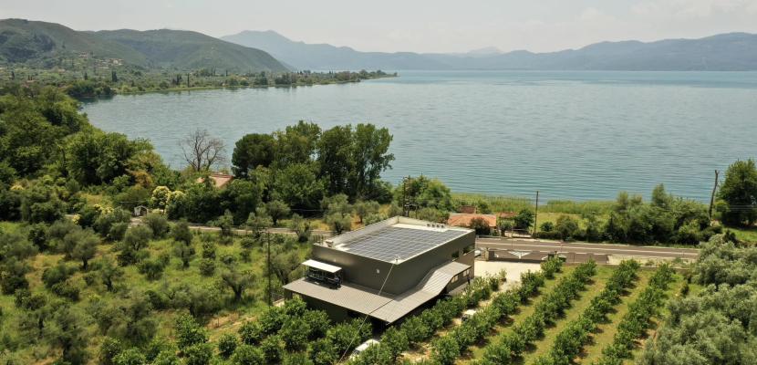 Lemon grove and packing plant near Lake Trichonida