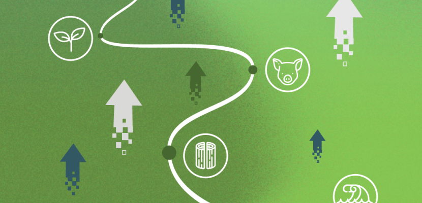 Trace the route service