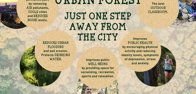 Benefits of Urban Forest