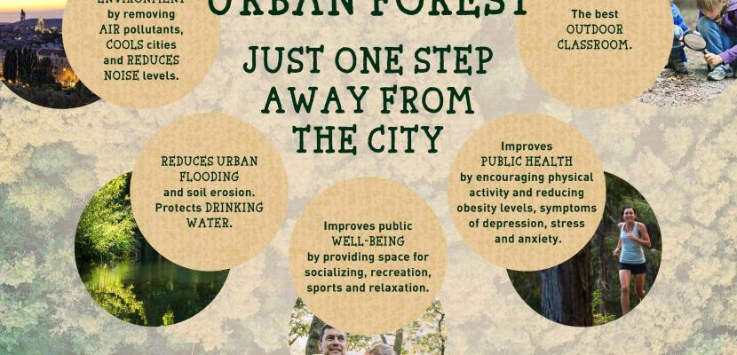 Benefits of Urban Forest Benefits of Urban Forest